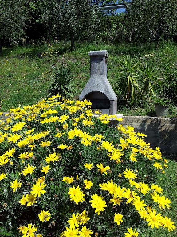 Casa Guaitoli Villa บันญี ดิ เปตริออโล ภายนอก รูปภาพ